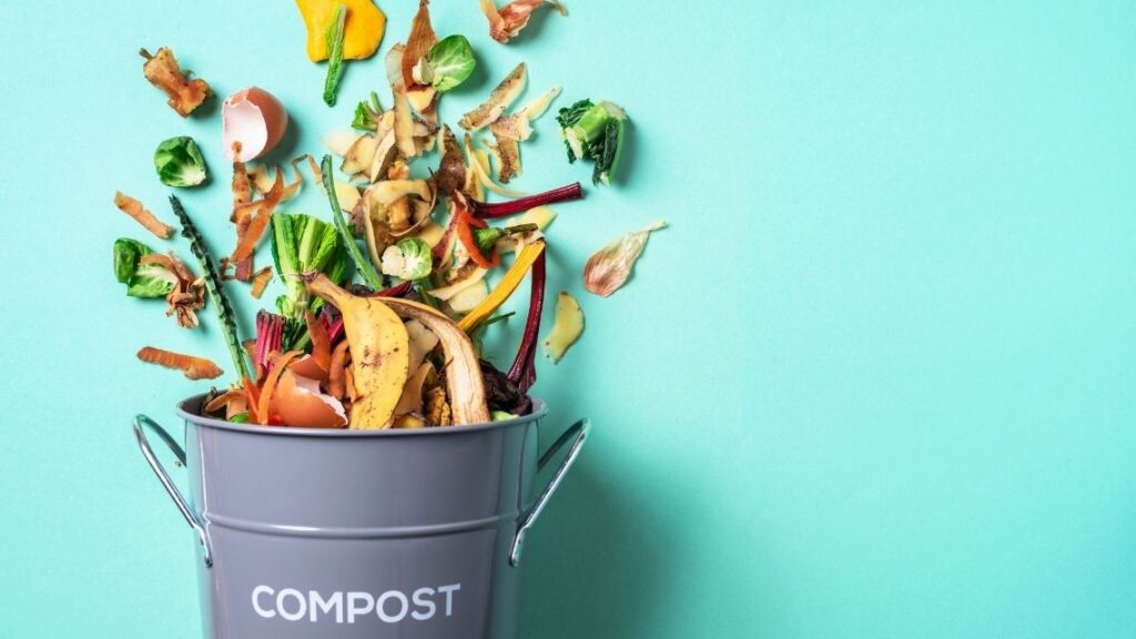 compost bin -