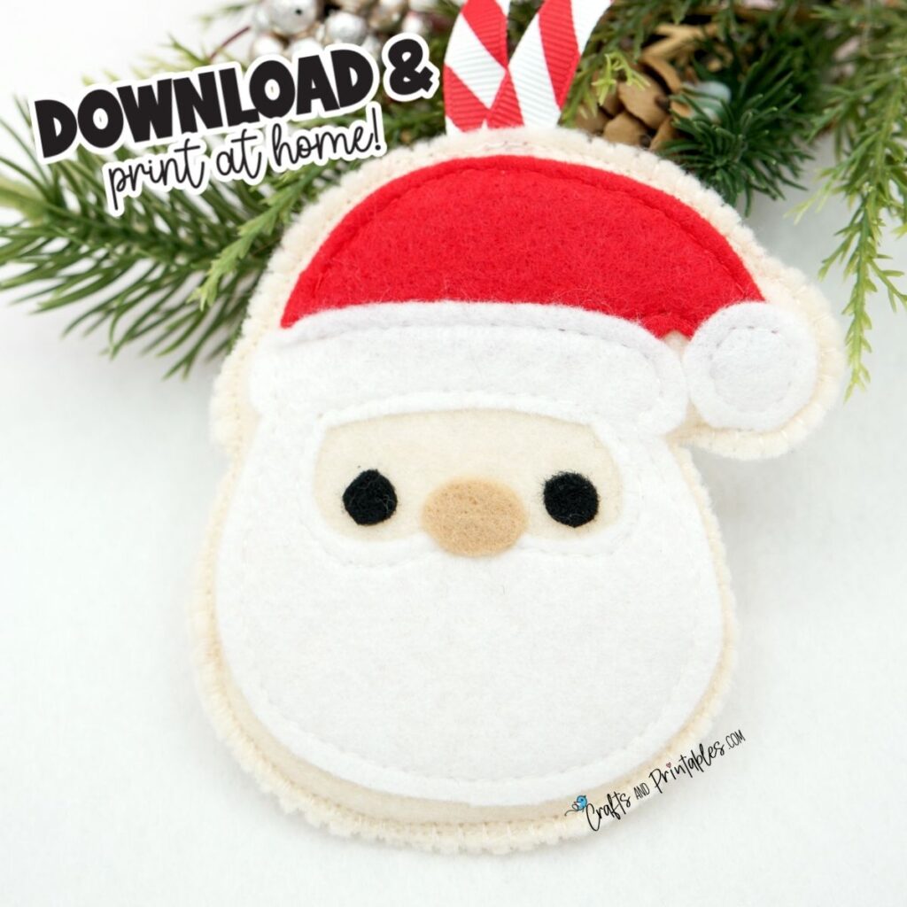 Felt Christmas Craft Santa Cookie Ornament Main -