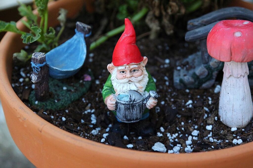 garden gnomes in a planter -