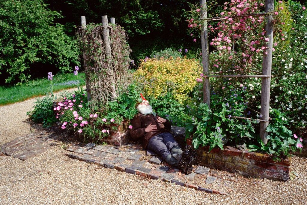 gnome resting in a garden -